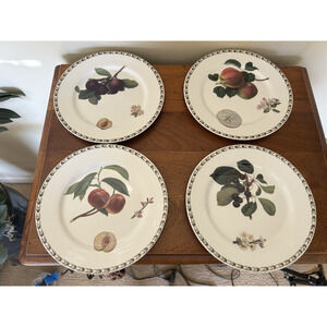 Set of 4 Salad Plates-Bone China Royal Horticultural Society "Hookers Fruit"